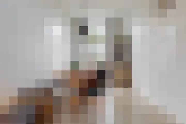 Bethlehemweg 57 Utrecht thumbnail 4