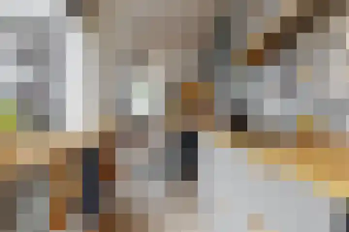 Bethlehemweg 57 Utrecht thumbnail 8