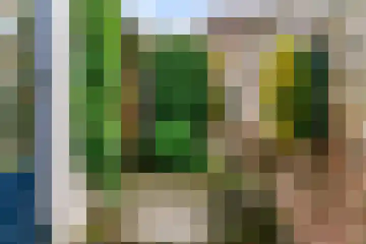 Bethlehemweg 57 Utrecht thumbnail 9