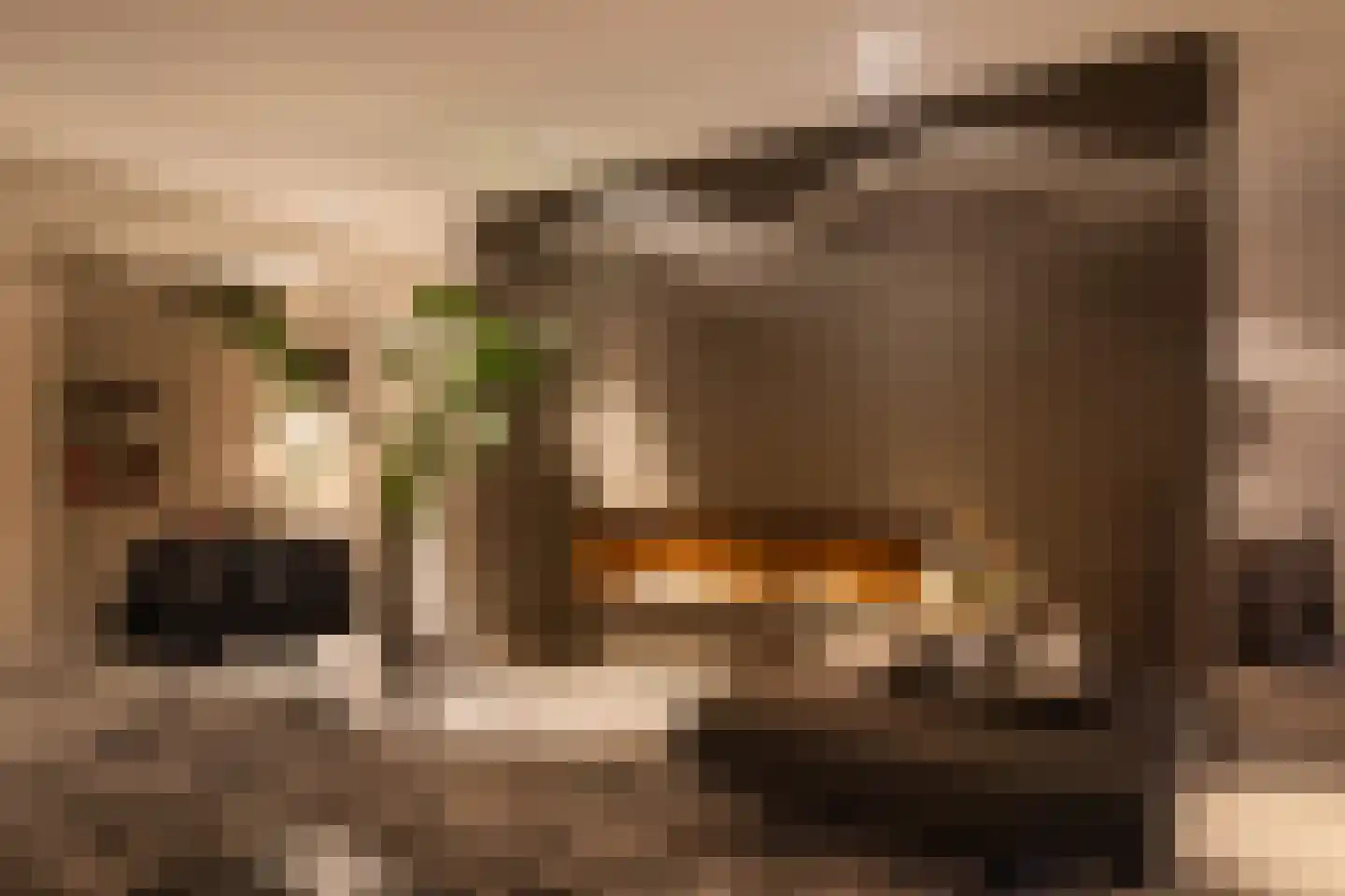 Bethunepolder 1 De Meern thumbnail 17