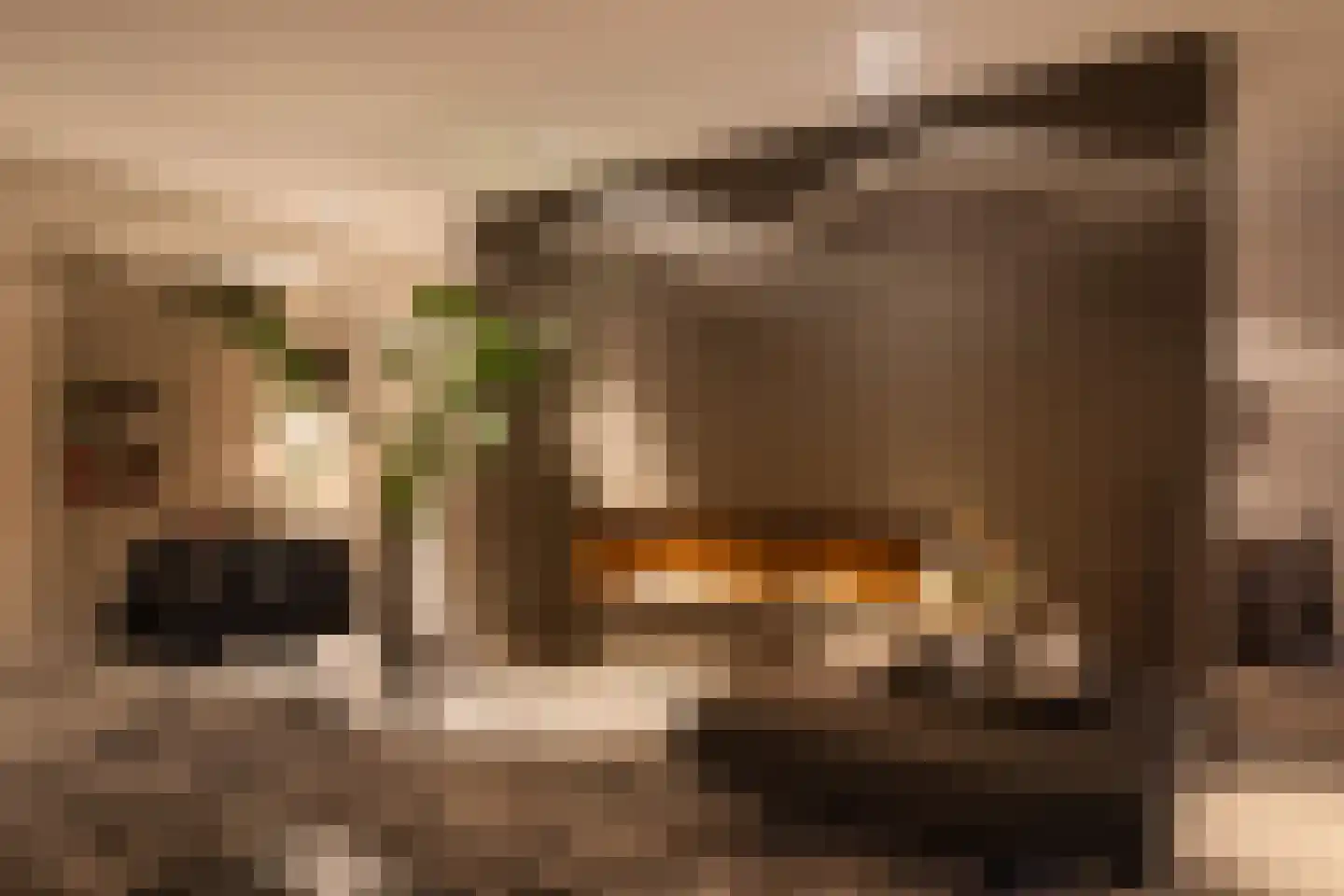 Bethunepolder 1 De Meern thumbnail 17