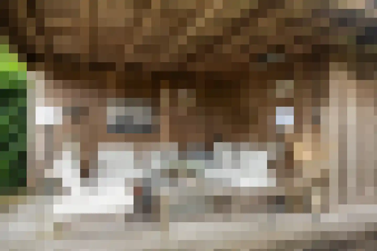 Bethunepolder 1 De Meern thumbnail 33
