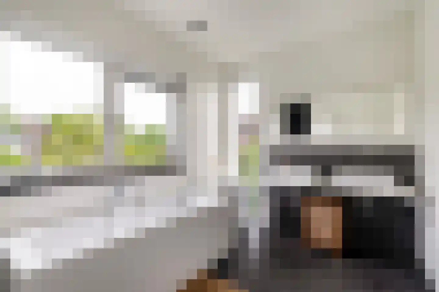 Bethunepolder 1 De Meern thumbnail 54