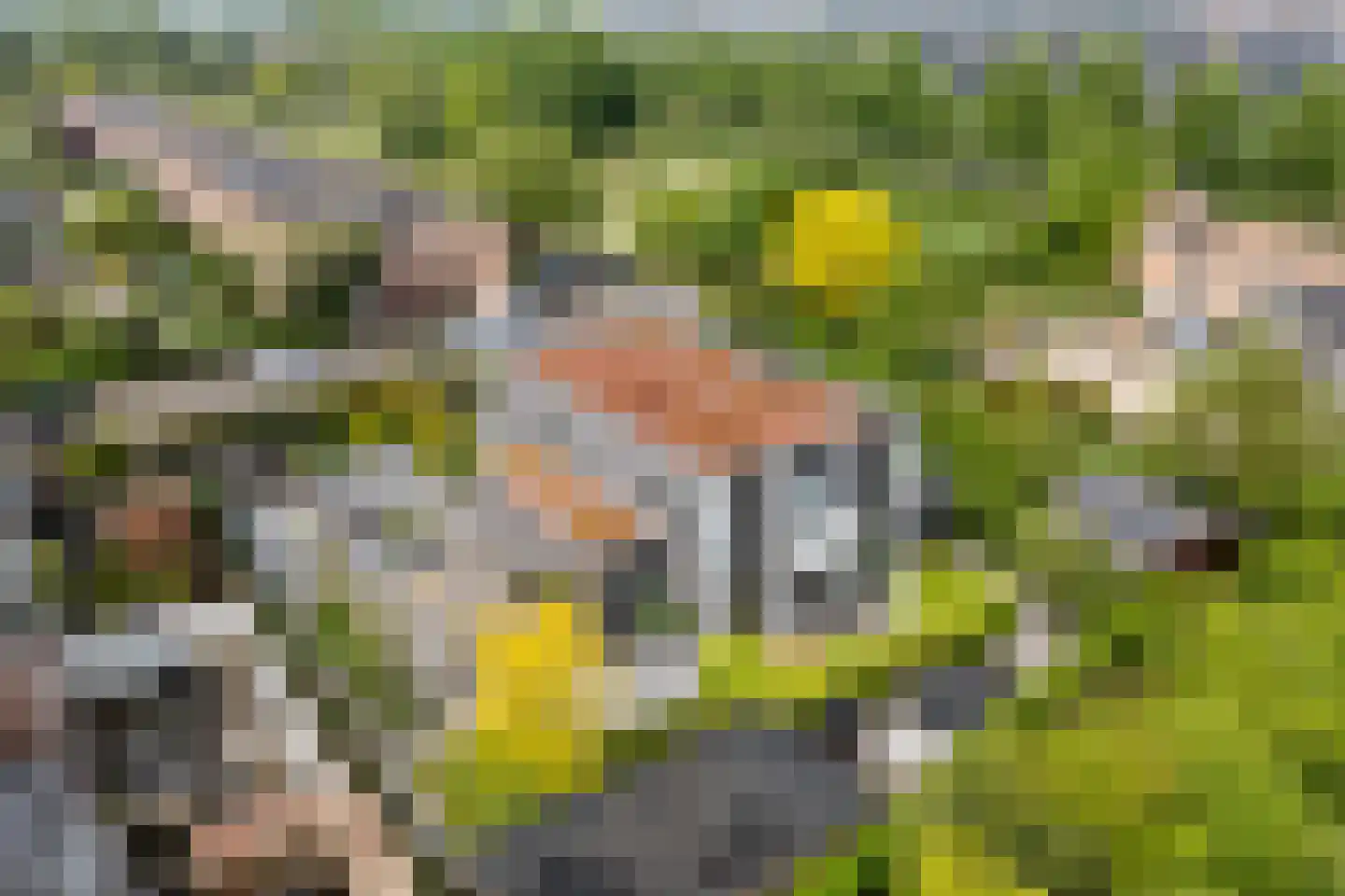 Bethunepolder 1 De Meern thumbnail 65