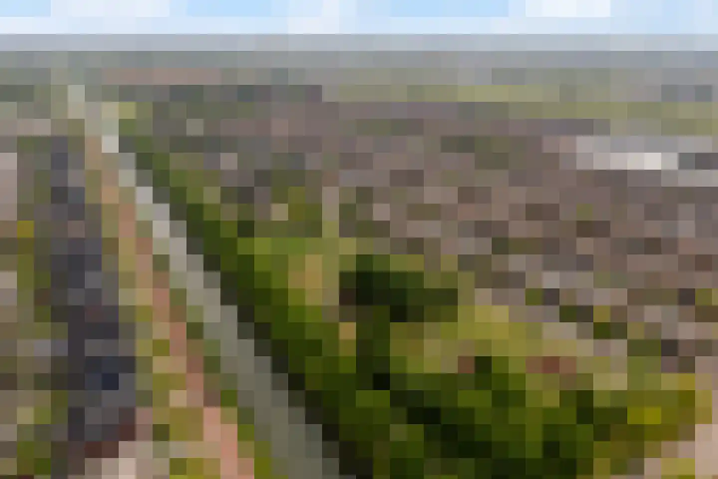 Bethunepolder 1 De Meern thumbnail 66