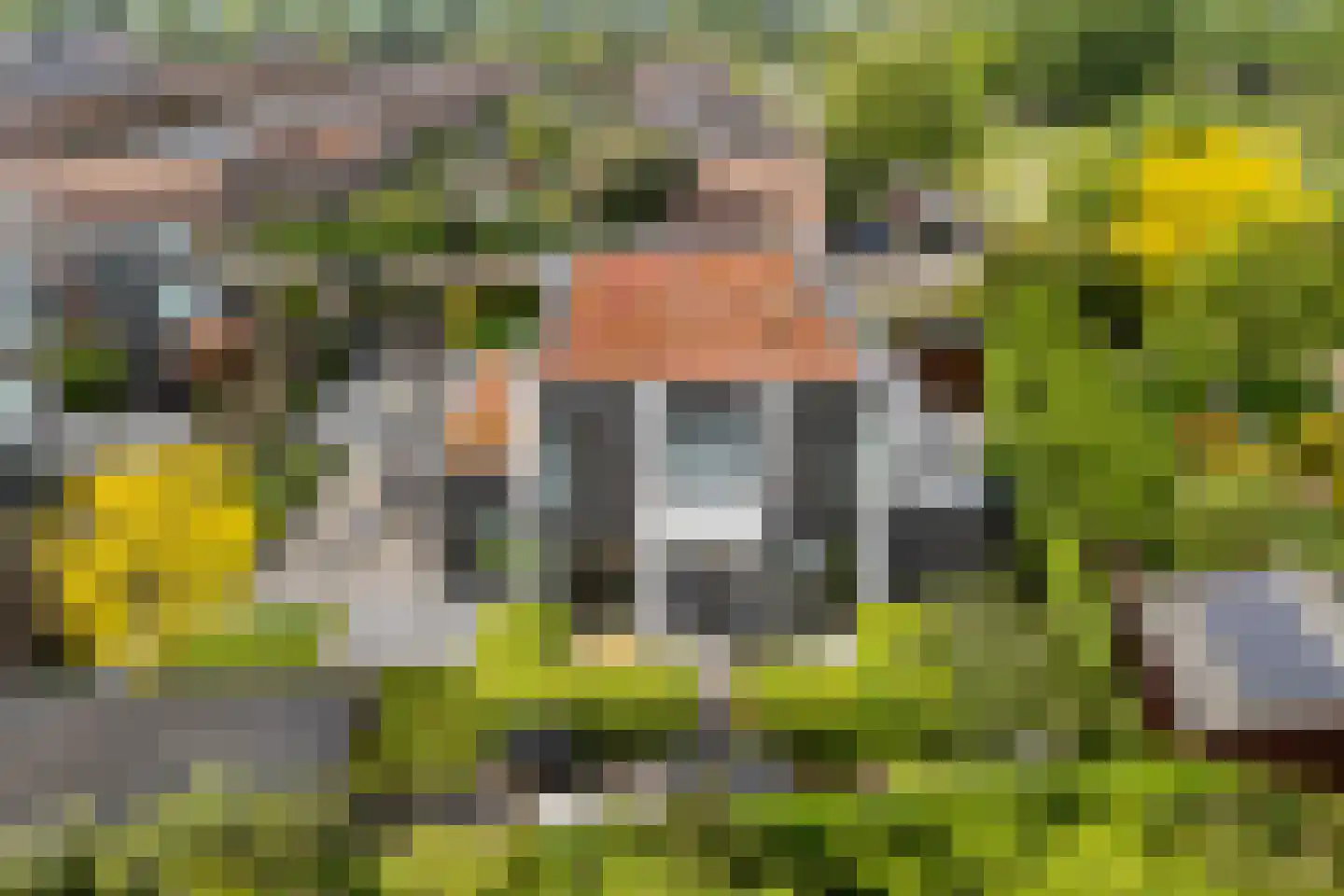 Bethunepolder 1 De Meern thumbnail 67