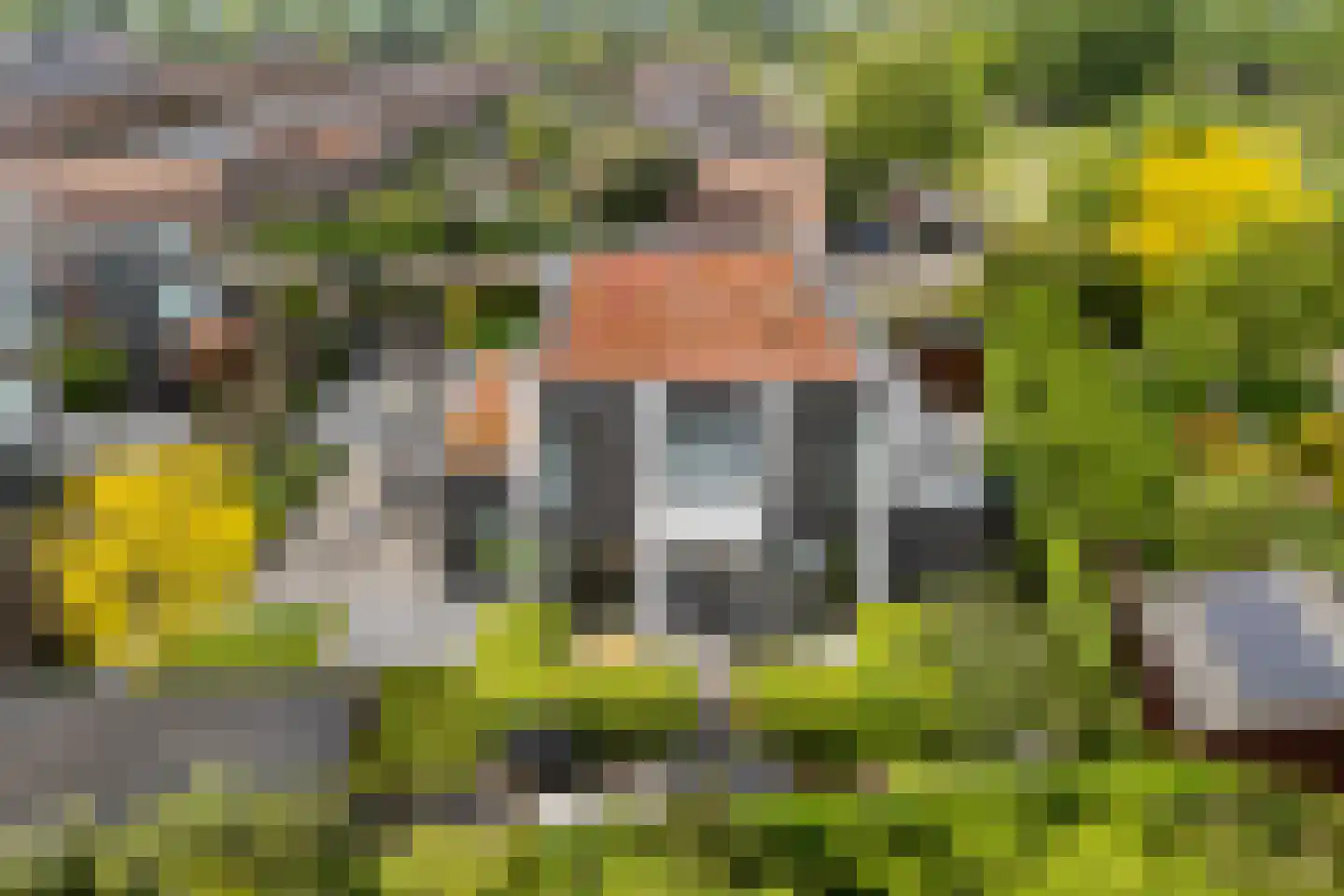 Bethunepolder 1 De Meern thumbnail 67