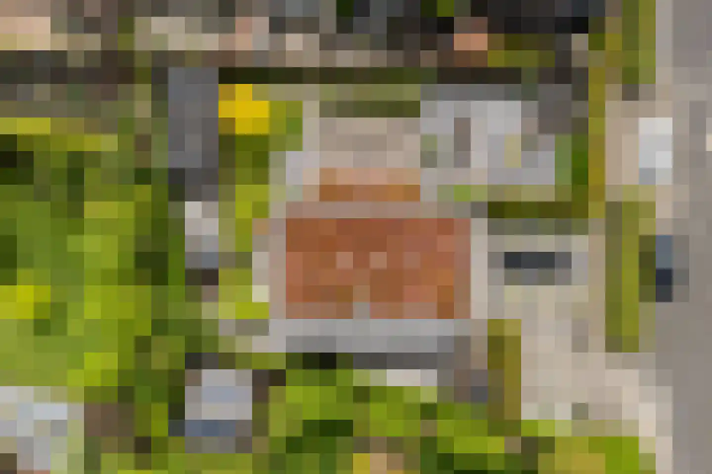 Bethunepolder 1 De Meern thumbnail 68