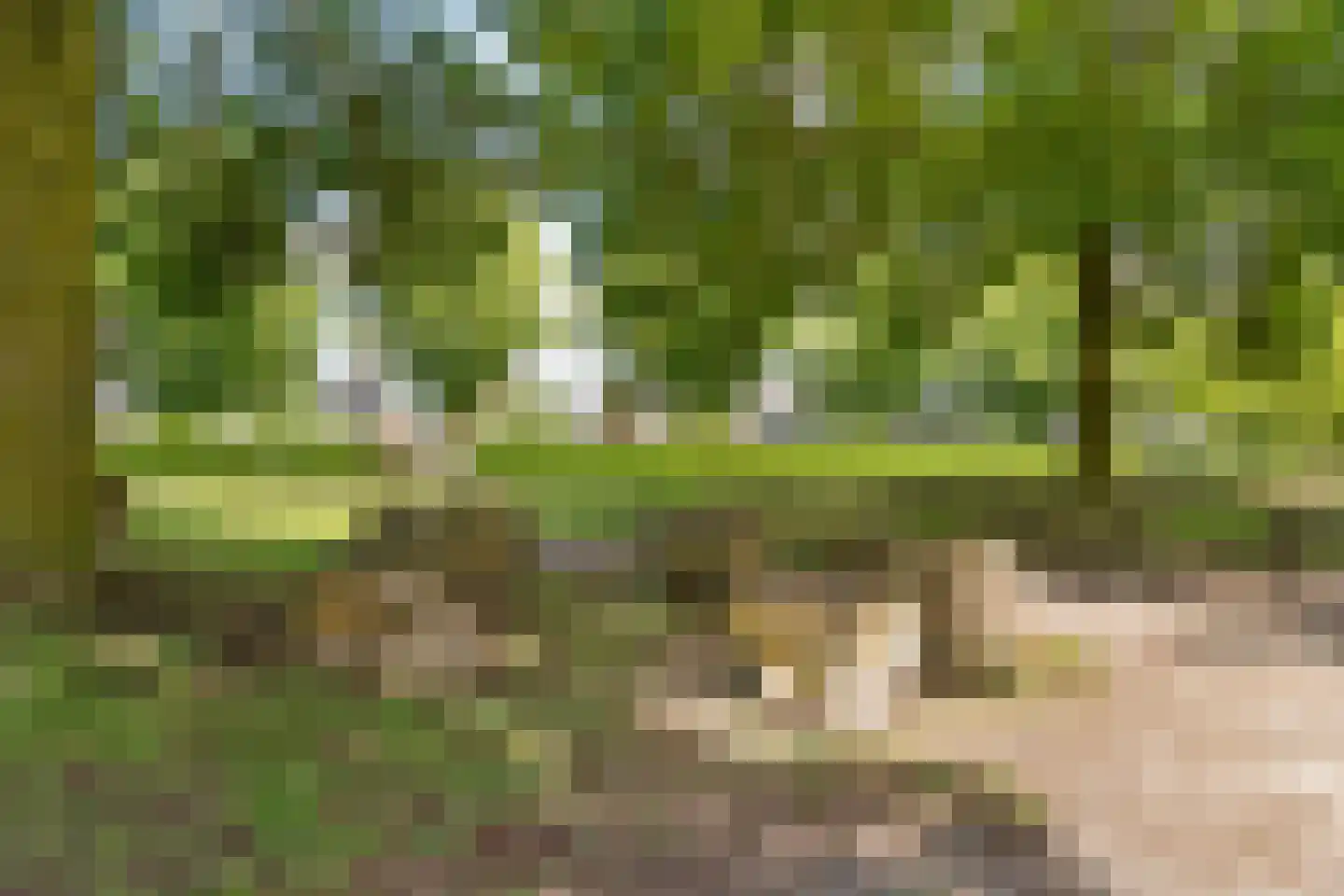 Bethunepolder 16 De Meern thumbnail 54
