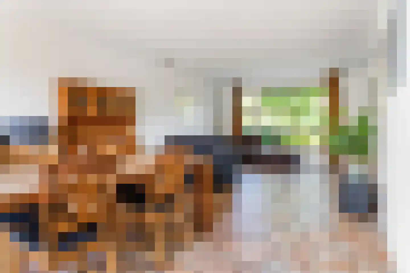Bethunepolder 4 De Meern thumbnail 15