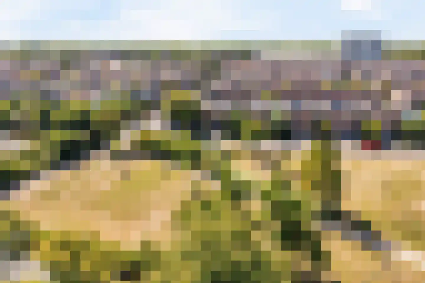Bethunepolder 4 De Meern thumbnail 36
