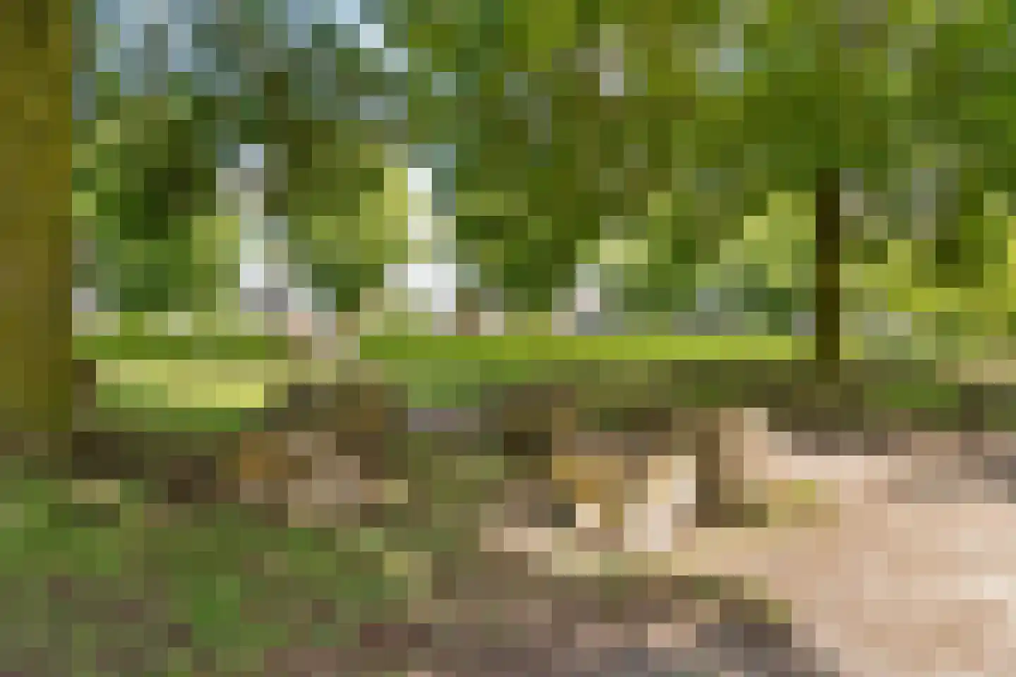 Bethunepolder 4 De Meern thumbnail 40