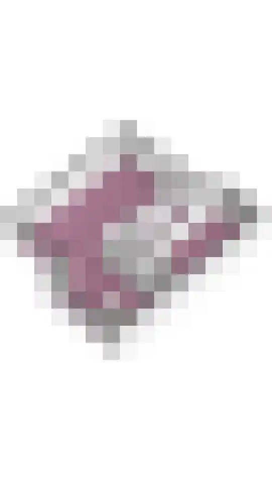 Bethunepolder 4 De Meern thumbnail 45