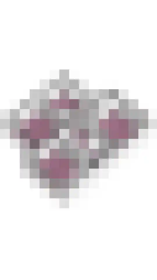 Bethunepolder 4 De Meern thumbnail 47