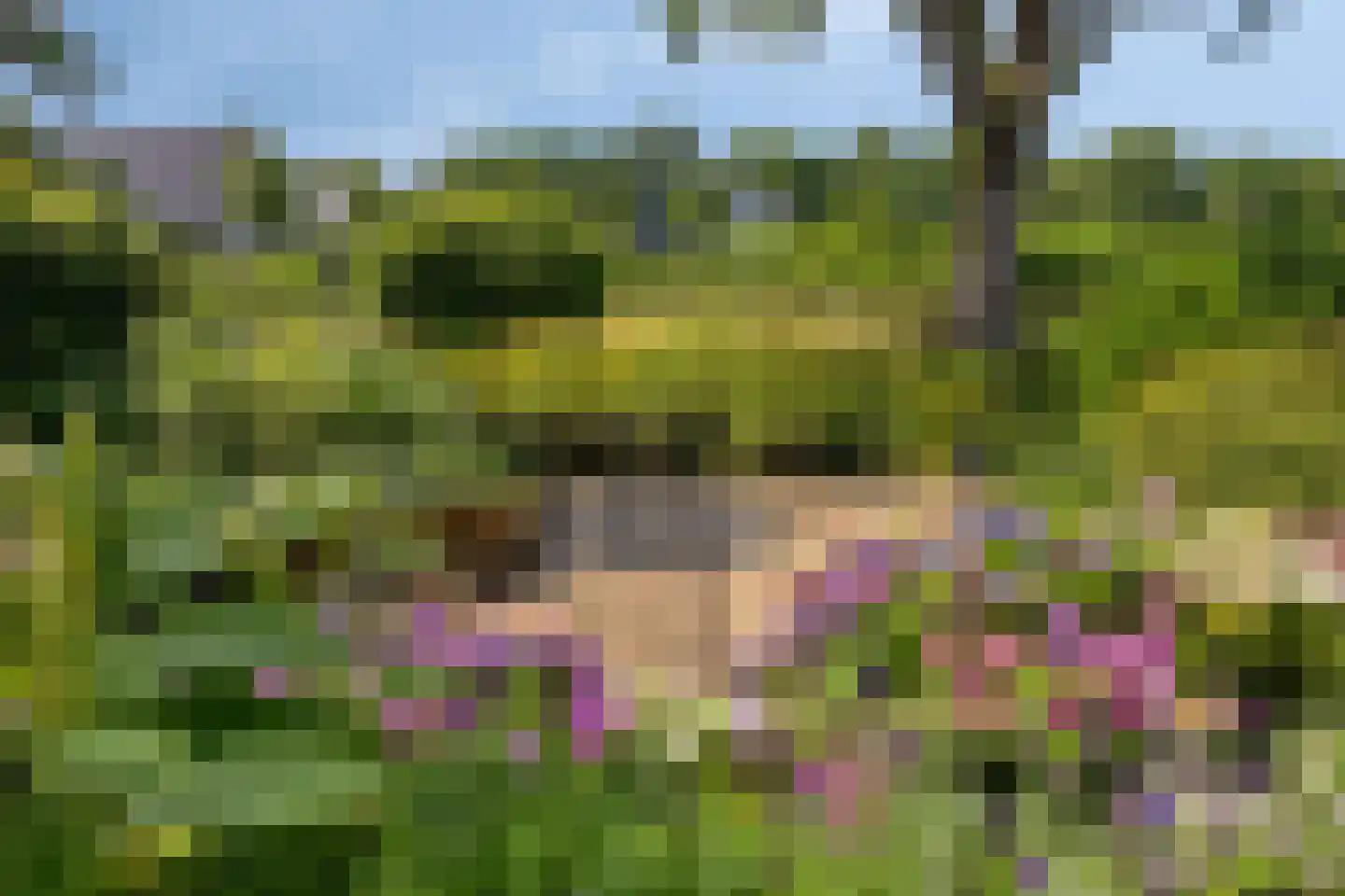 Betje Wolfflaan 16 Veenendaal foto 3