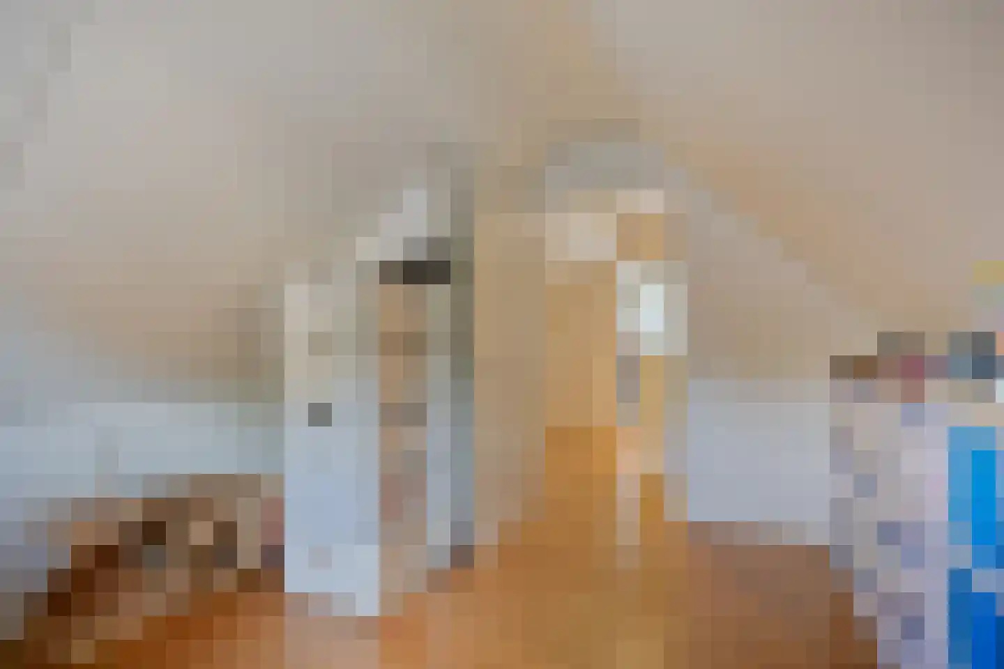 Betje Wolfflaan 16 Veenendaal thumbnail 48