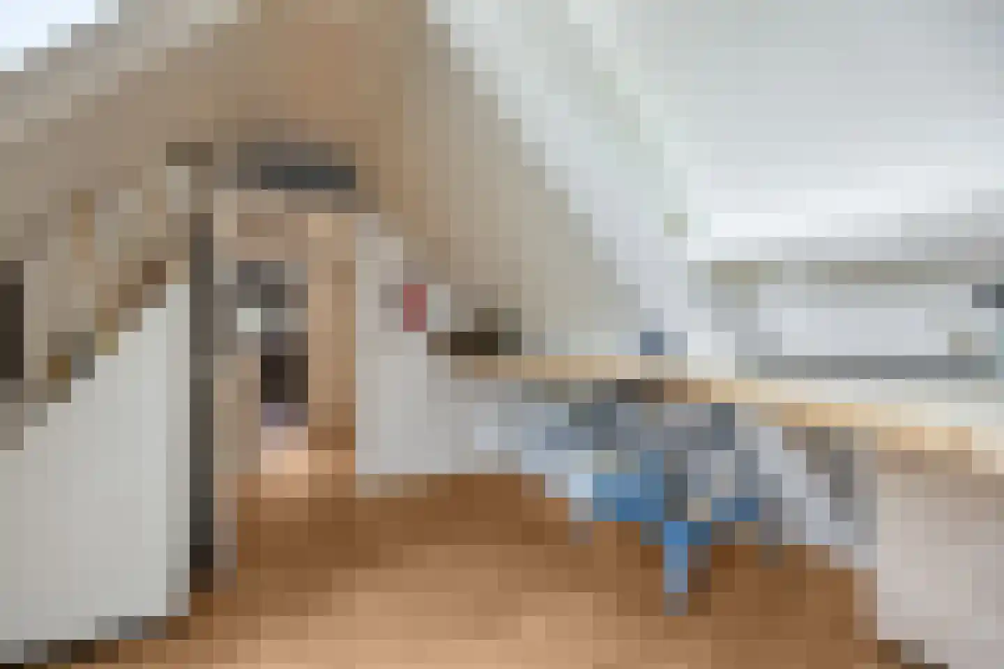 Betje Wolfflaan 16 Veenendaal thumbnail 50