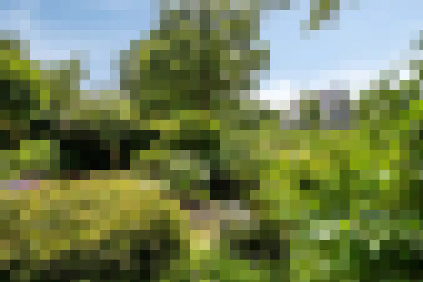 Betje Wolfflaan 16 Veenendaal thumbnail 58