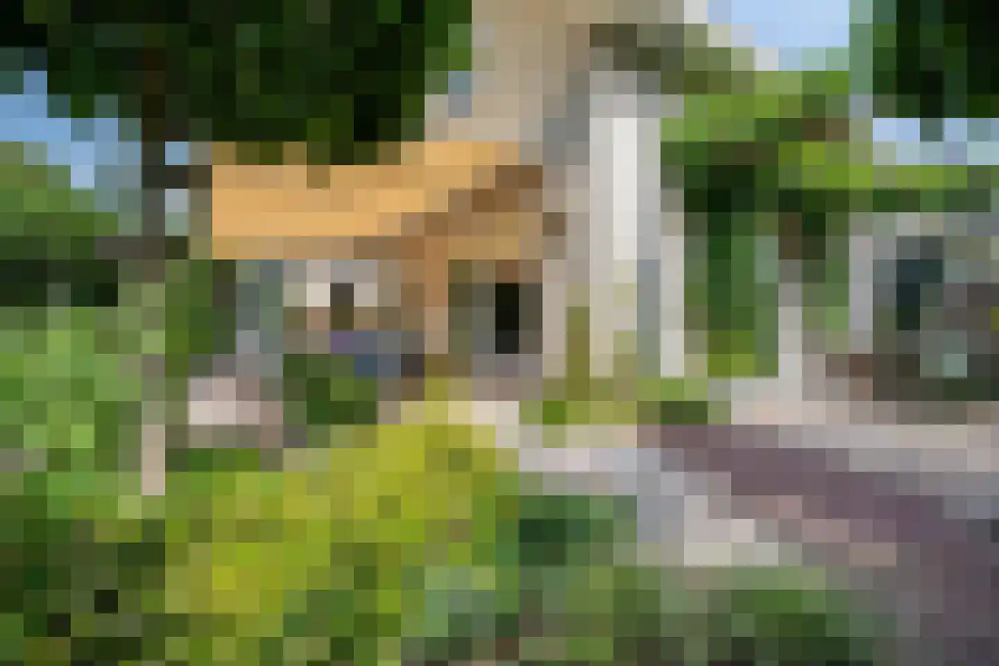 Betje Wolfflaan 16 Veenendaal thumbnail 62