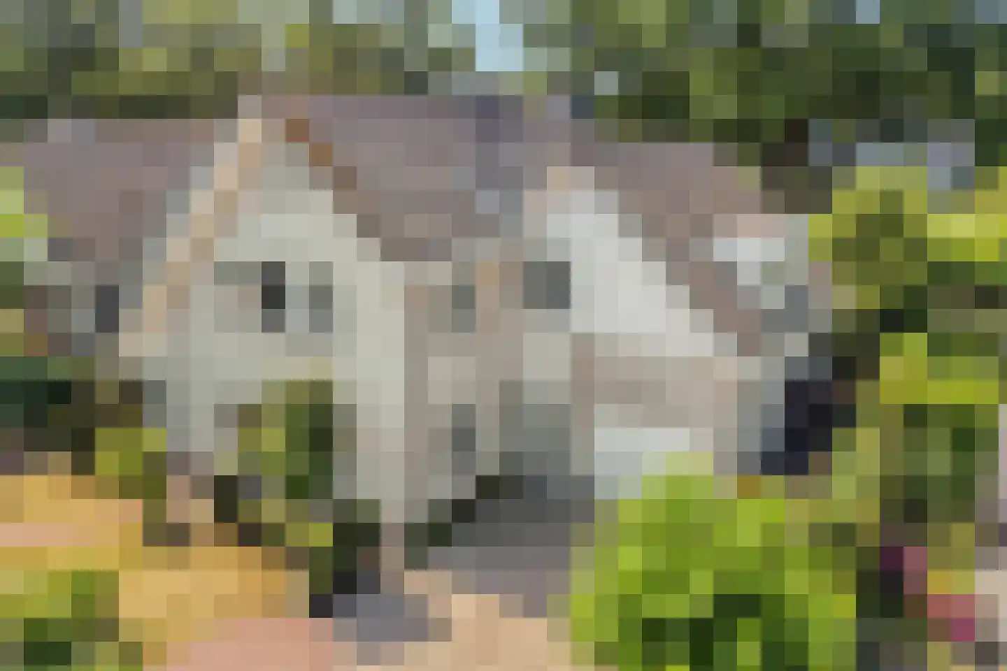 Betje Wolfflaan 16 Veenendaal thumbnail 69