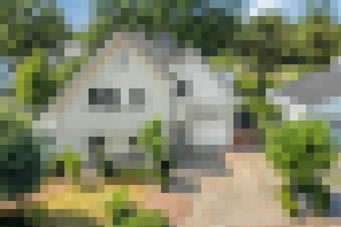 Betje Wolfflaan 16 Veenendaal thumbnail 70