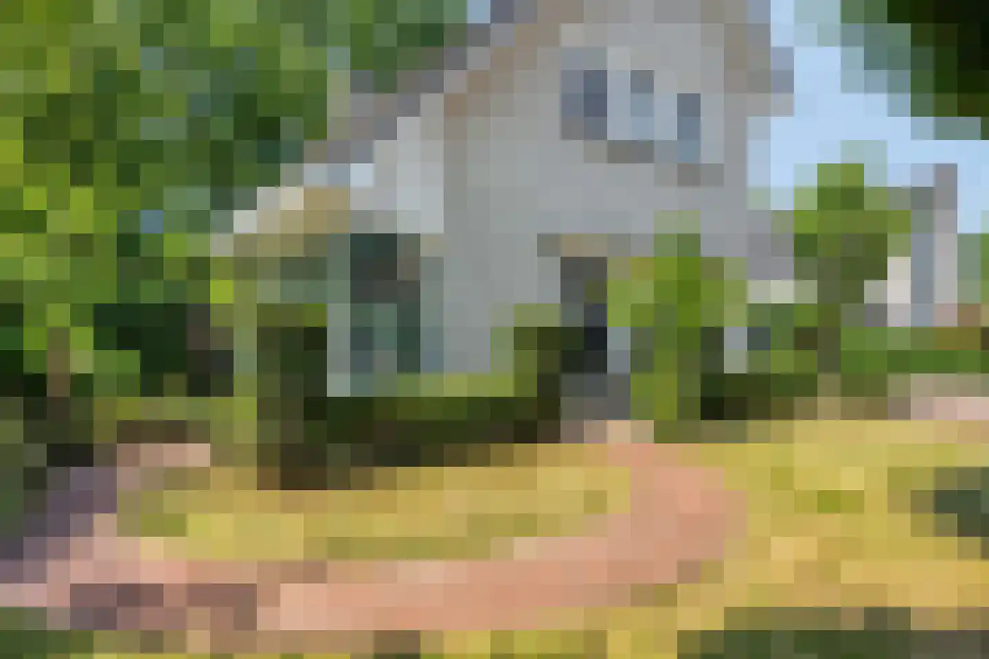 Betje Wolfflaan 16 Veenendaal thumbnail 74
