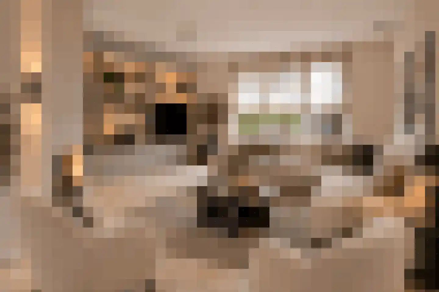 Betje Wolfflaan 18 Veenendaal thumbnail 11