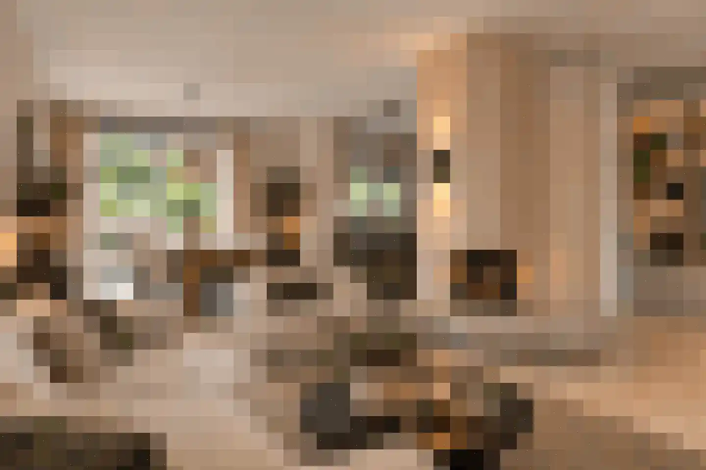 Betje Wolfflaan 18 Veenendaal thumbnail 16
