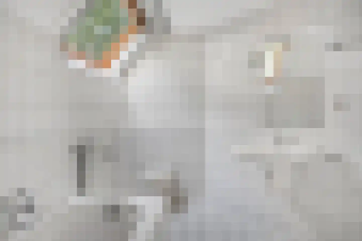 Betje Wolfflaan 18 Veenendaal thumbnail 30