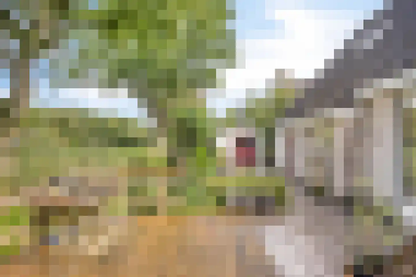Betje Wolfflaan 18 Veenendaal thumbnail 32