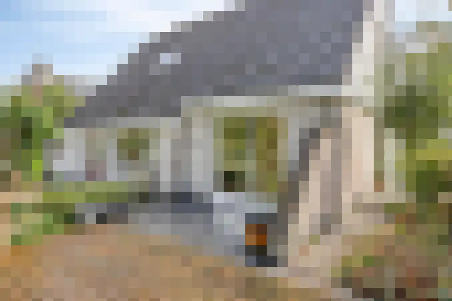 Betje Wolfflaan 18 Veenendaal thumbnail 33