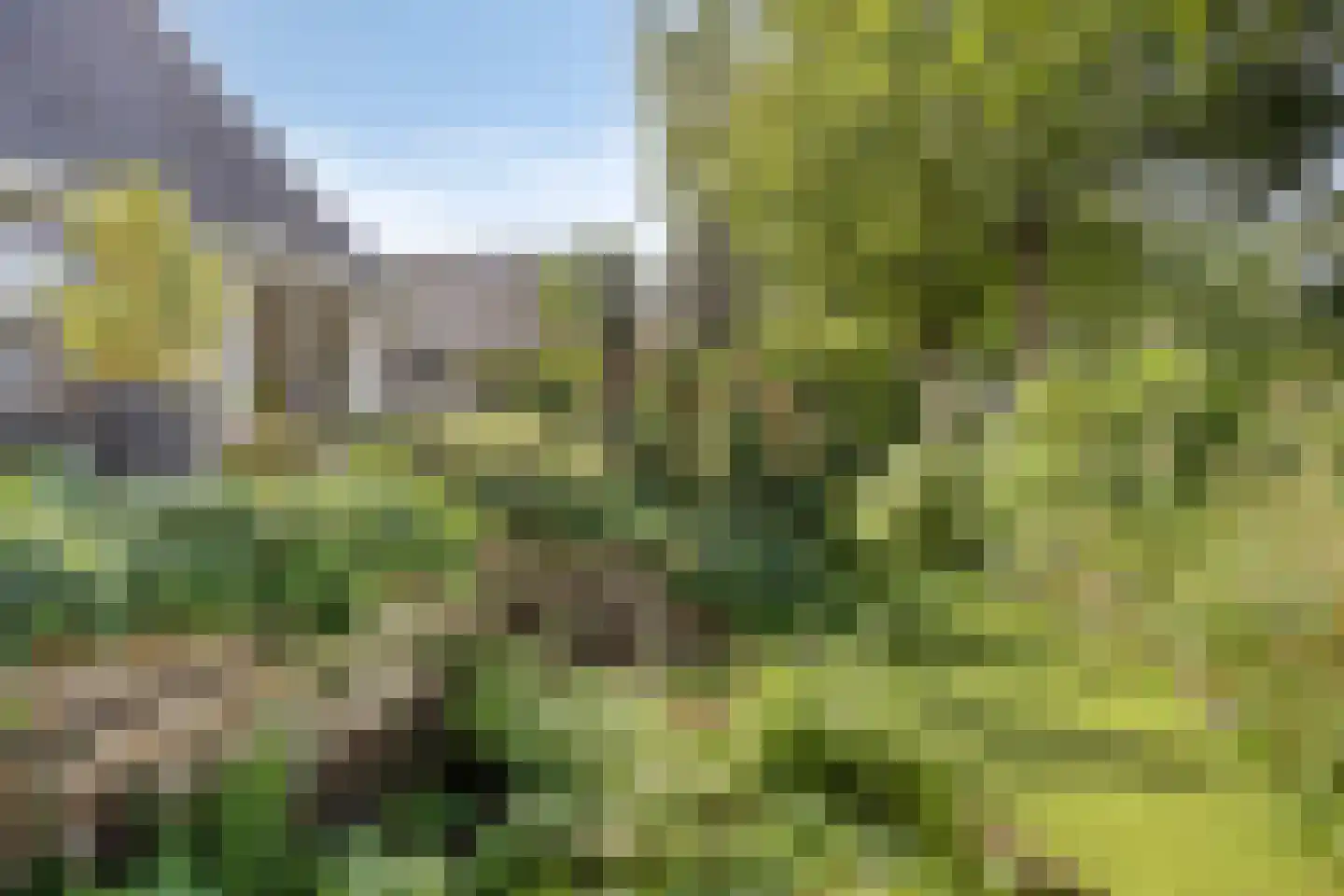 Betje Wolfflaan 18 Veenendaal thumbnail 34