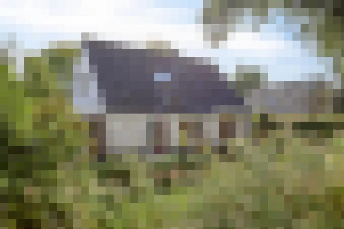 Betje Wolfflaan 18 Veenendaal thumbnail 36