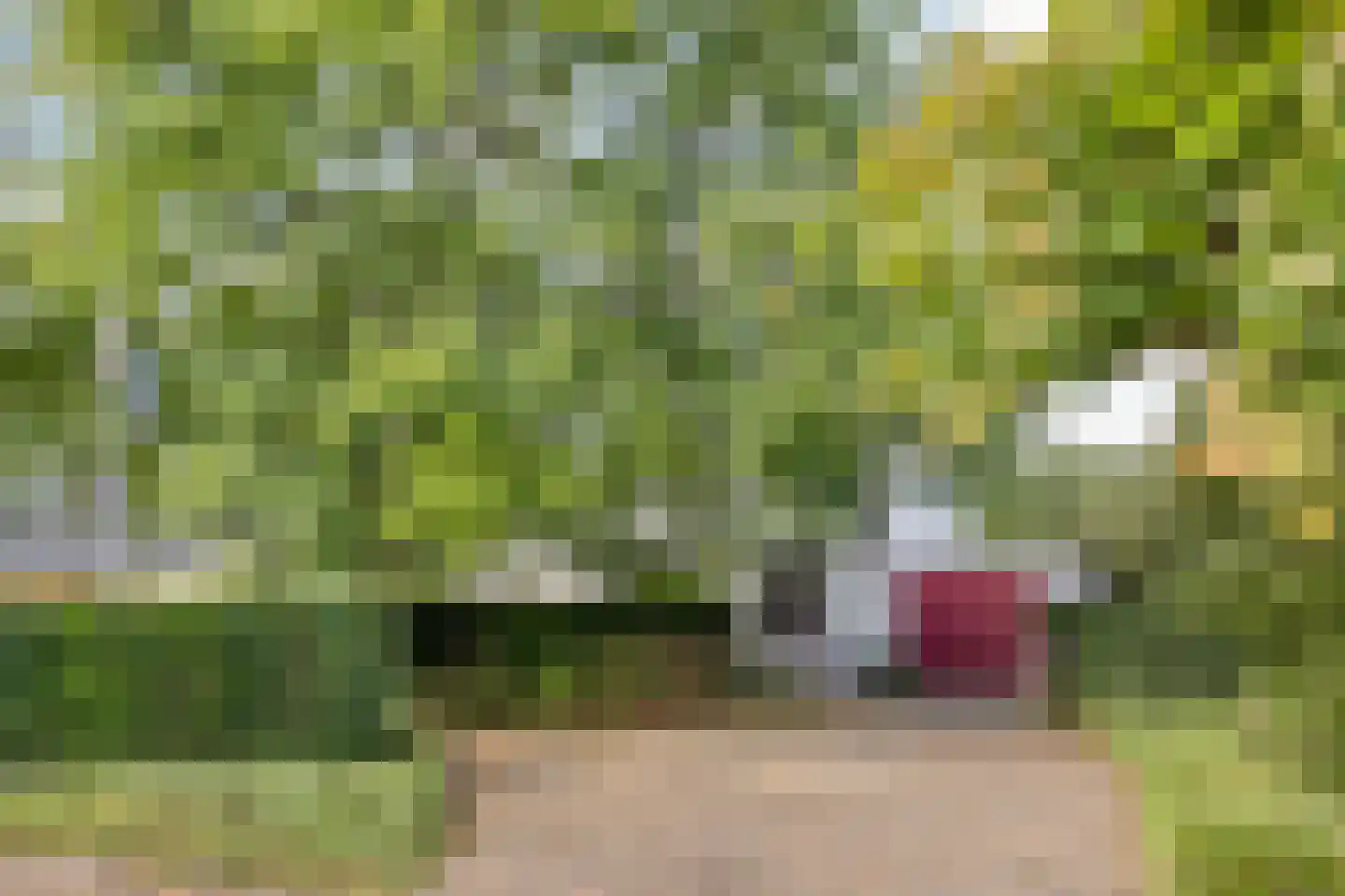 Betje Wolfflaan 18 Veenendaal thumbnail 5