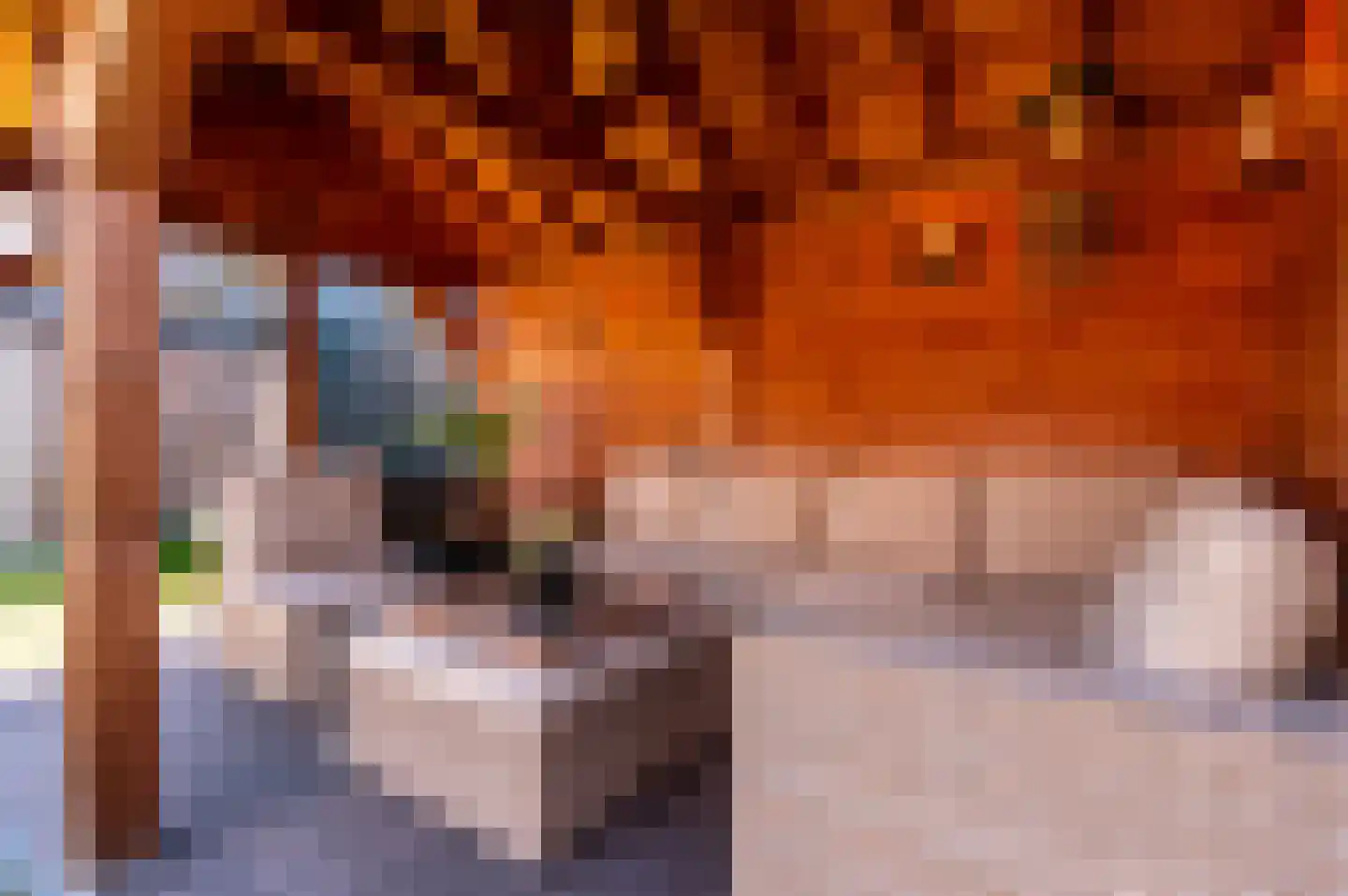 Betje Wolfflaan 19 Harderwijk thumbnail 36