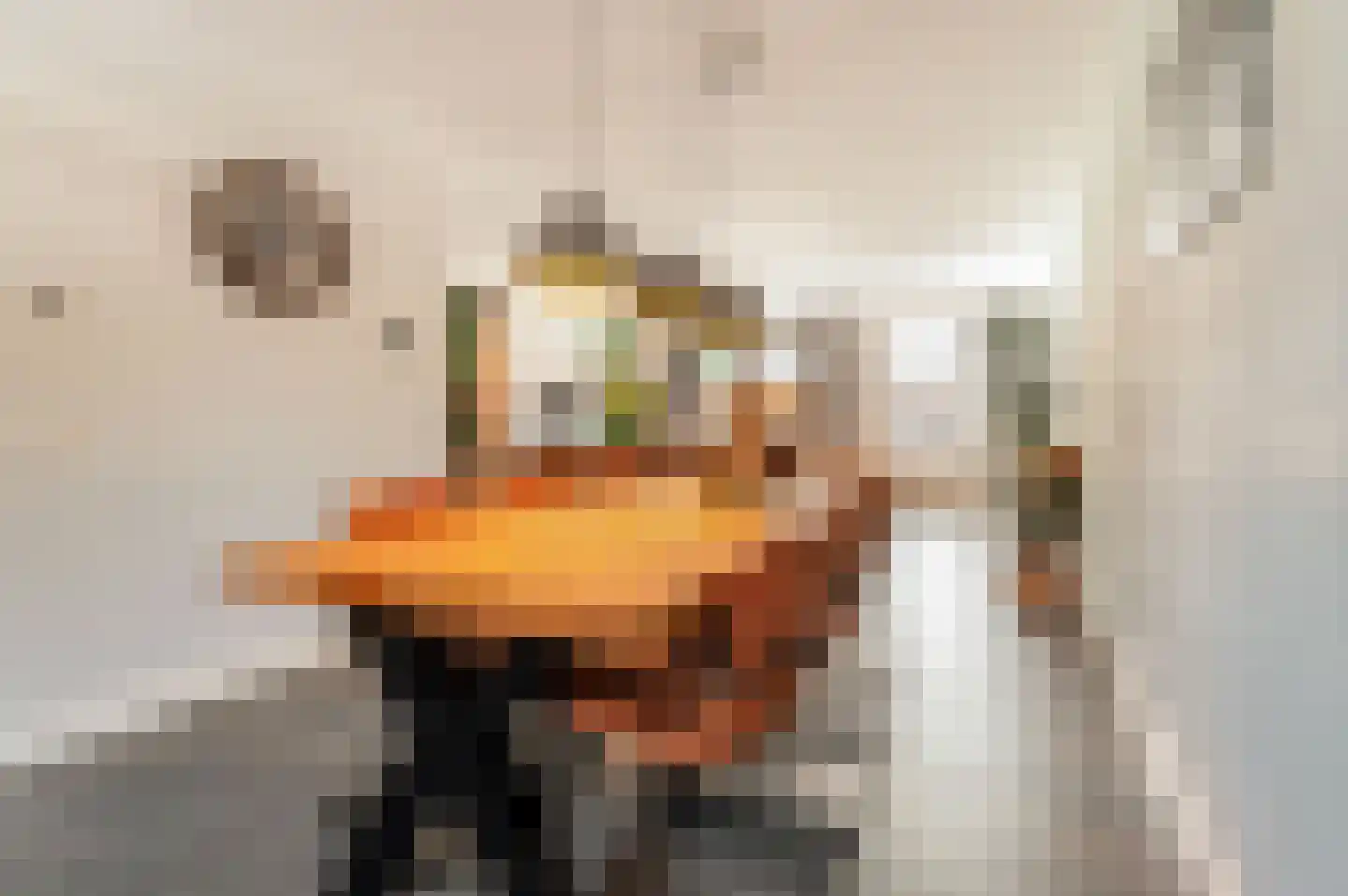 Betje Wolfflaan 19 Harderwijk thumbnail 9