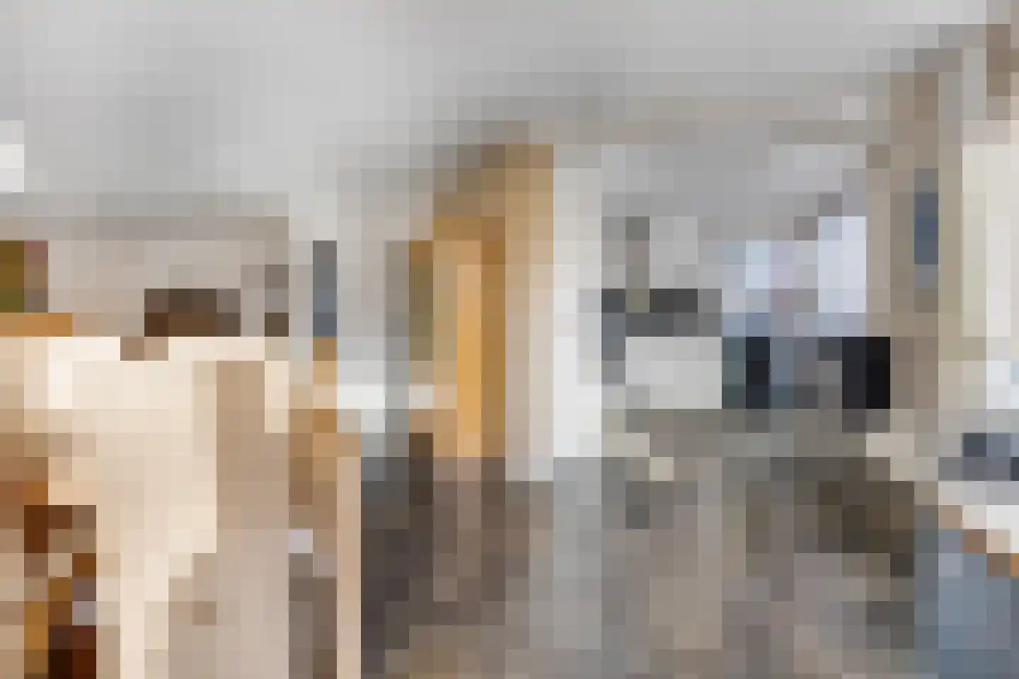 Betje Wolfflaan 20 Veenendaal thumbnail 11