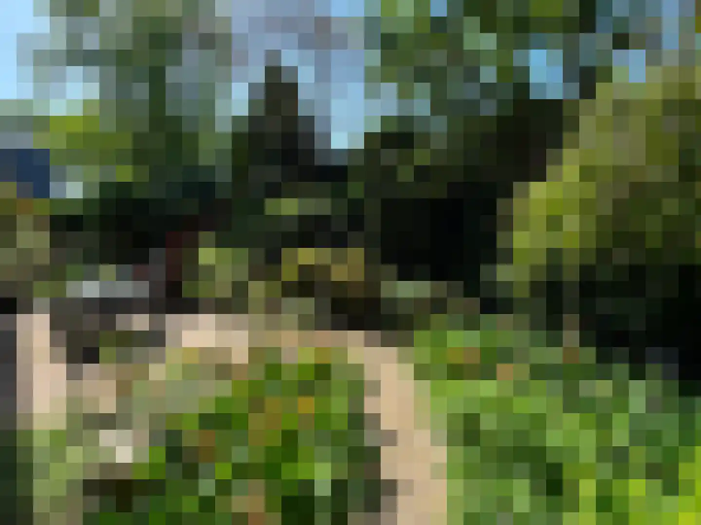 Betje Wolfflaan 20 Veenendaal foto 3