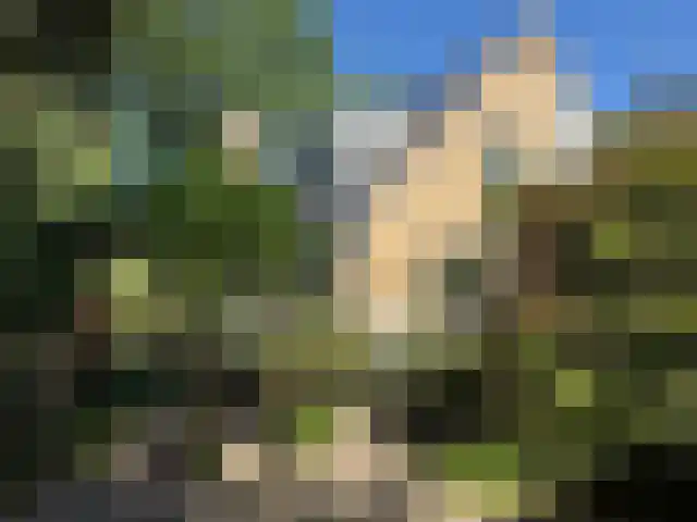 Betje Wolfflaan 20 Veenendaal thumbnail 37