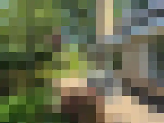 Betje Wolfflaan 20 Veenendaal thumbnail 39