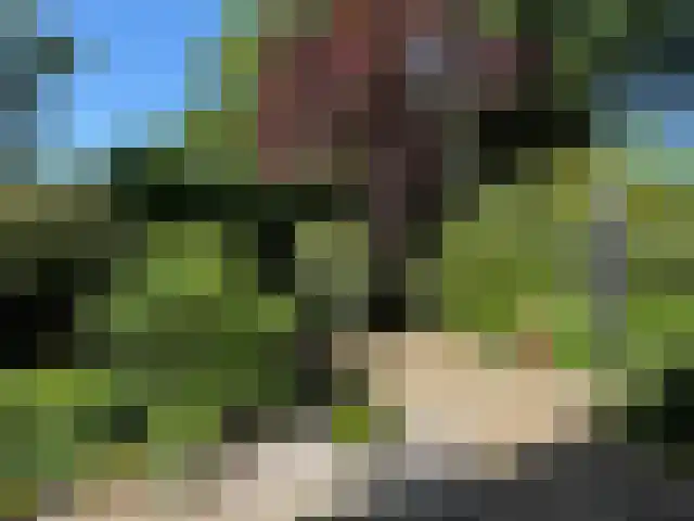 Betje Wolfflaan 20 Veenendaal thumbnail 40