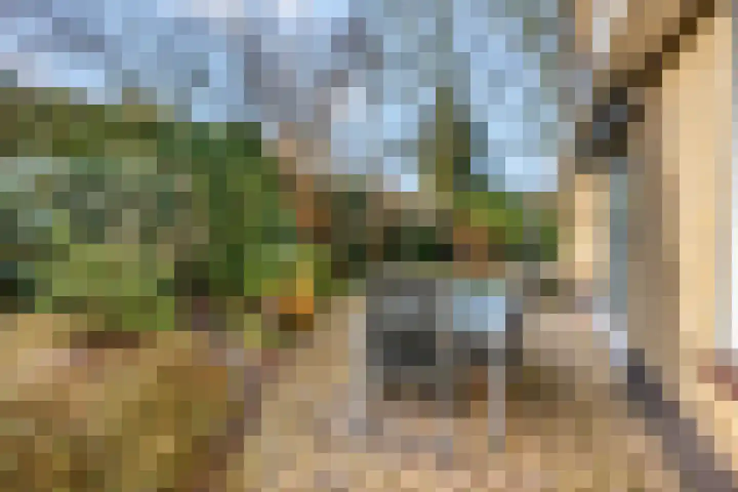 Betje Wolfflaan 20 Veenendaal thumbnail 42