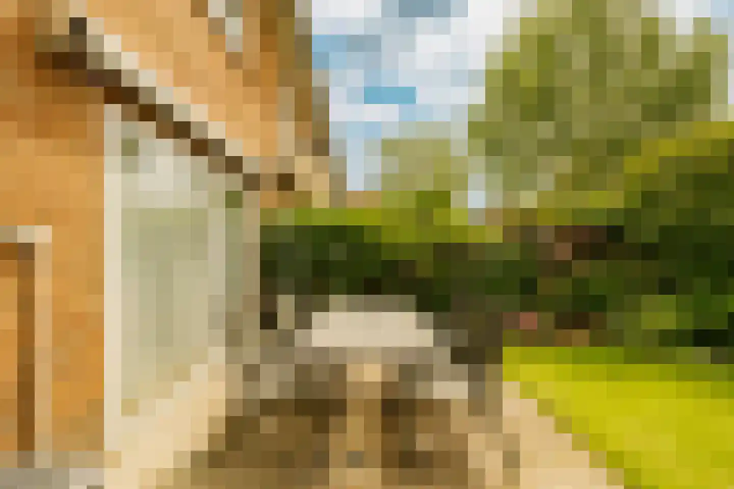 Betje Wolfflaan 23 Hilversum thumbnail 19