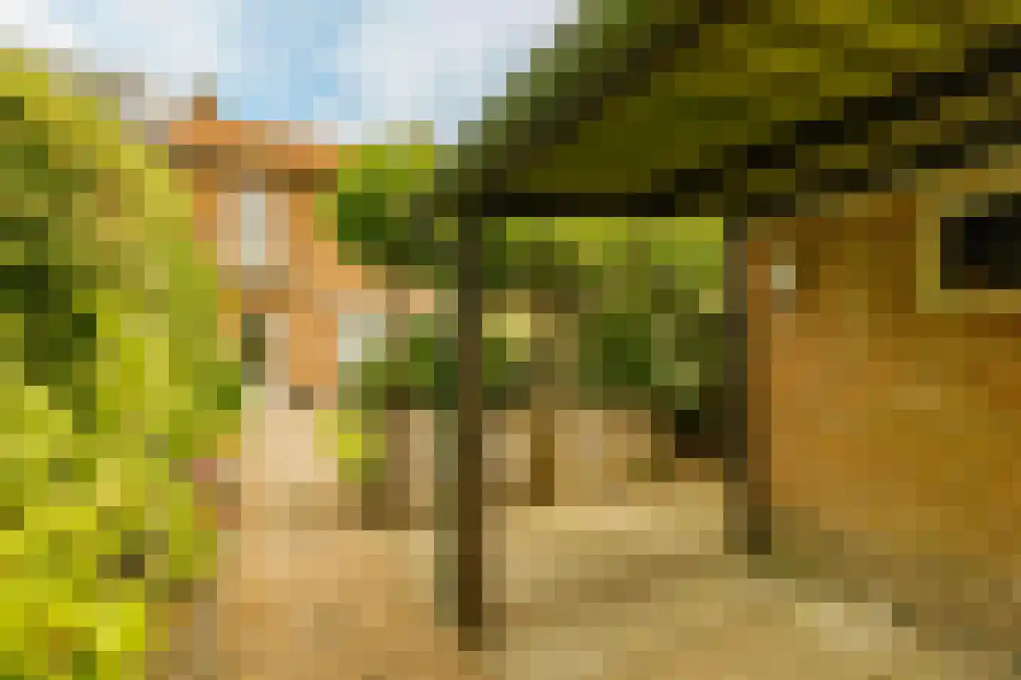 Betje Wolfflaan 23 Hilversum thumbnail 24