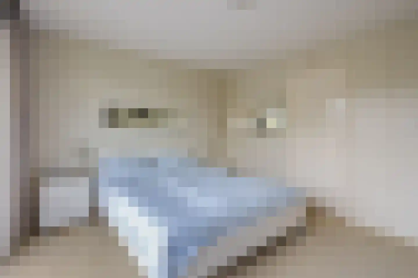 Betje Wolfflaan 23 Hilversum thumbnail 28
