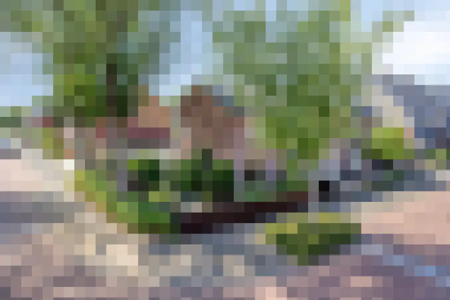 Betje Wolfflaan 25 Amstelveen thumbnail 30