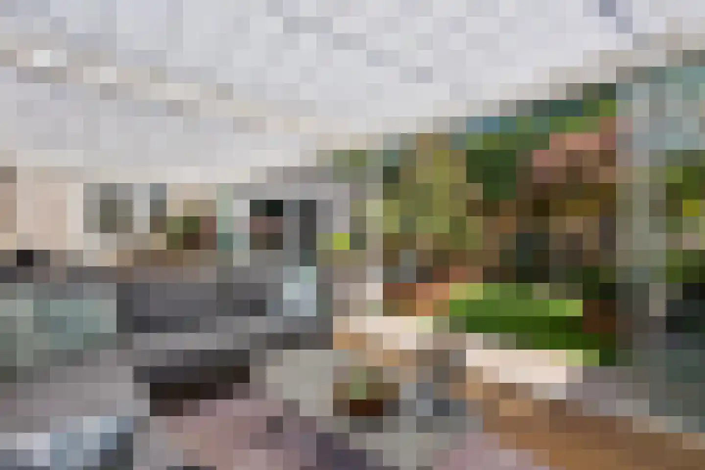 Betje Wolfflaan 29 Veenendaal thumbnail 37