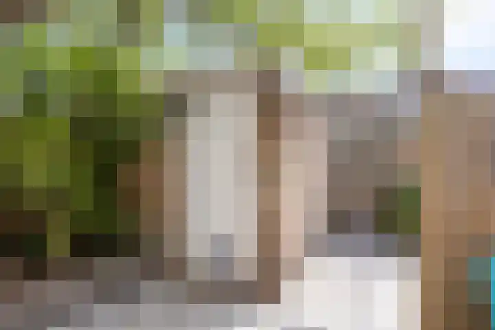 Betje Wolfflaan 41 Amstelveen thumbnail 23
