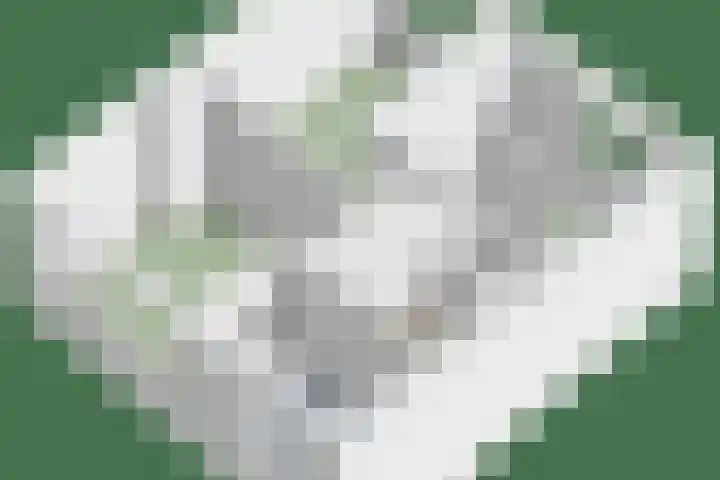 Betje Wolfflaan 41 Amstelveen thumbnail 27