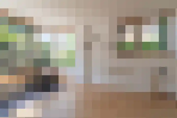 Betje Wolfflaan 6 Veenendaal thumbnail 17